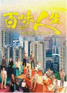 雾港夜航剧集片源封面